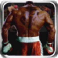 VirtuaBoxing 1.8