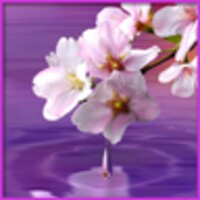 Water Drop. Flowers and Leaves. 1.0.4