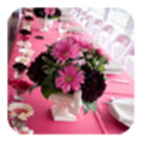 Wedding Decorations Ideas icon