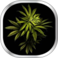 Weed Live Wallpaper icon