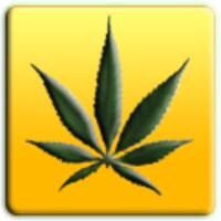 Weed Reggae Theme 102.01