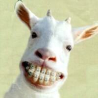 Whatsapp Funny Pictures 2 icon