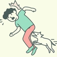 Where is My Cat - Hidden and Merge icon