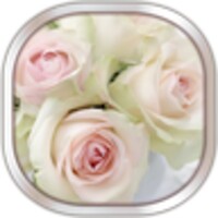 White Rose Live Wallpaper icon