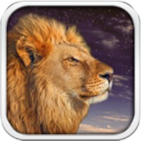 Wild Lion Live Wallpaper HD icon