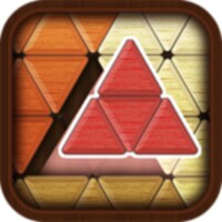 Wood Block Triangle icon