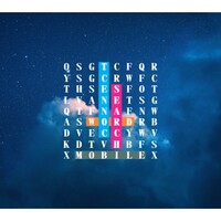 Word Search Connect icon