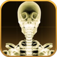 X-Ray icon