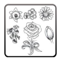 Draw Flowers icon