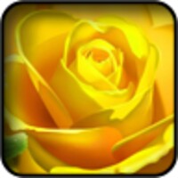Yellow 3d Wallpapers icon