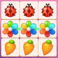 Zen Link icon